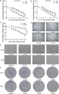 The Anti-tumor Effects of p-Coumaric Acid on Melanoma A375 and B16 Cells